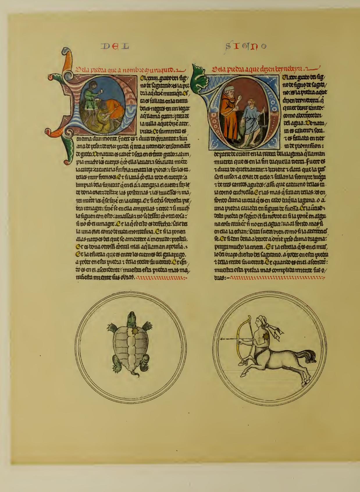 lapidario-184.jpg lapidario-184.jpg