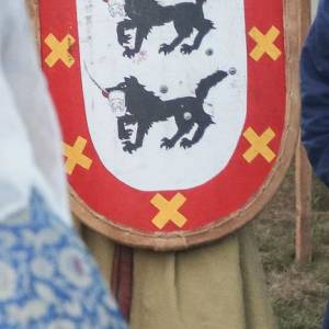 img_1337-ferbi-shield-cut.jpg